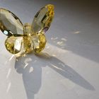 The chrystal butterfly