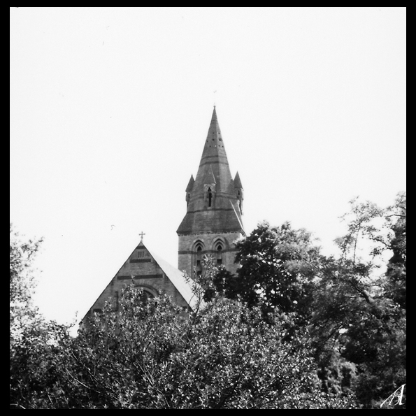 The Church in the Trees