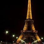 The City of Lights