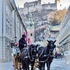 The City of Sound of Music 