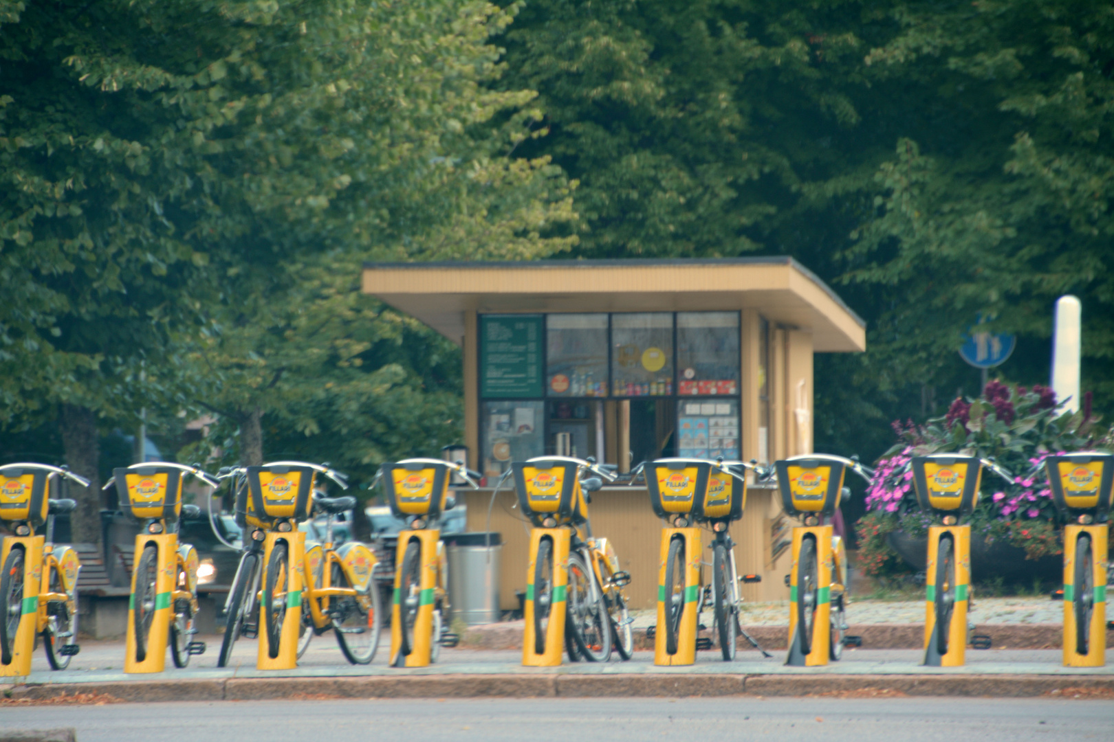 The citybikes station