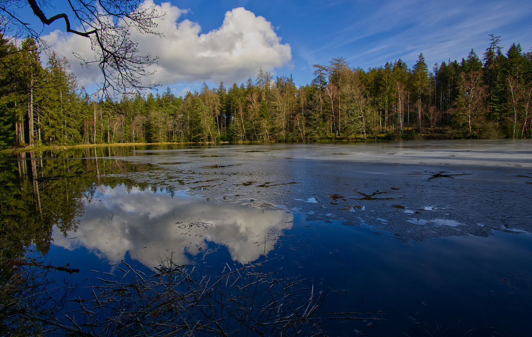 „The clearest way into the Universe is through a forest wilderness.