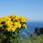 The Cliffs of Moher