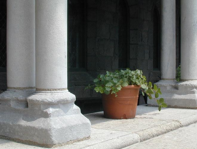 The Cloisters - Detail