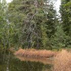 The coast of Seurasaari