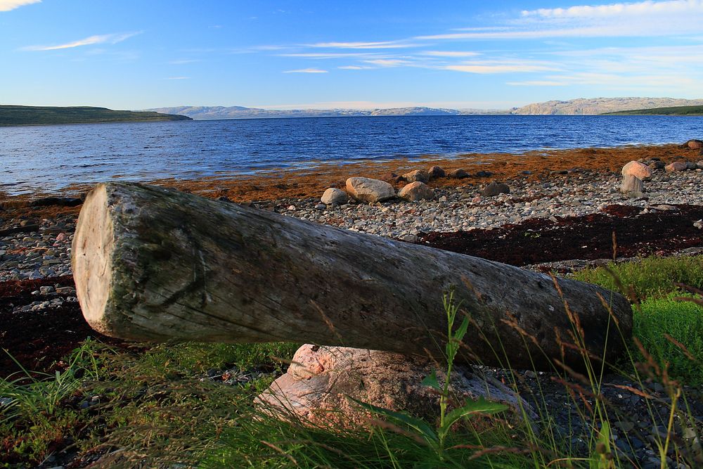 The coast of the Barents Sea