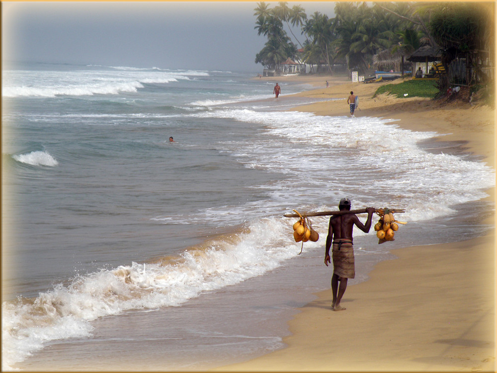 The Coconut - Man..............