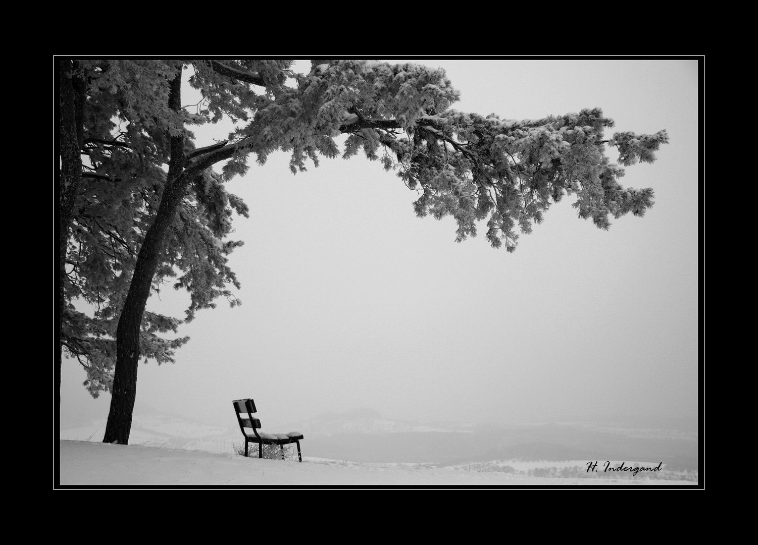 the cold bench