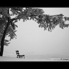 the cold bench