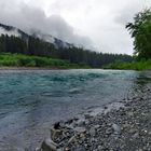 The cold glacier water of the Ho River  (Olympic National Park)