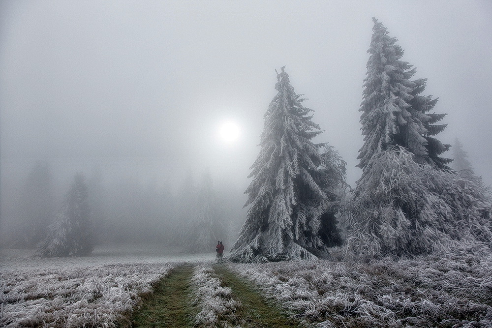 the cold touch of winter