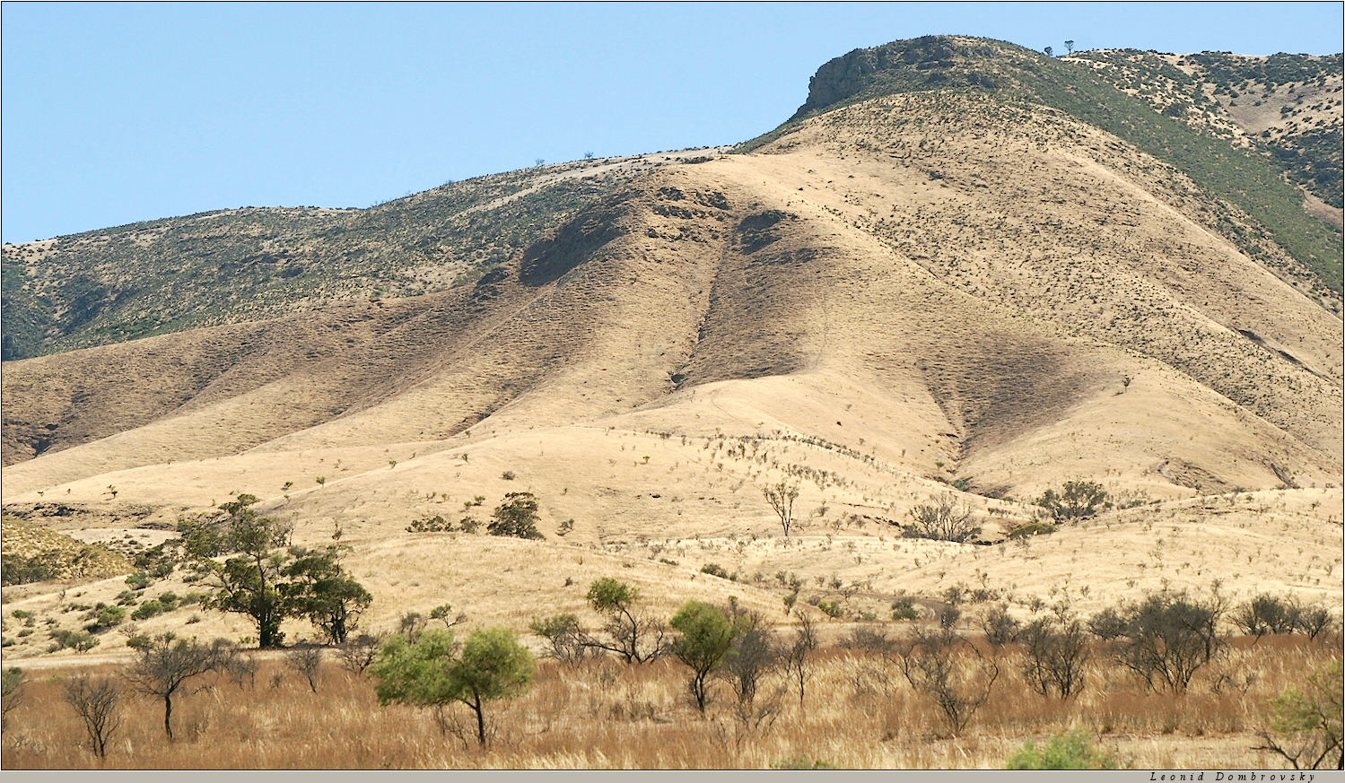 The color of the South Australia