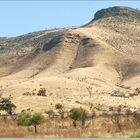 The color of the South Australia