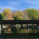 The colorful autumn of Muskoka, Ontario.