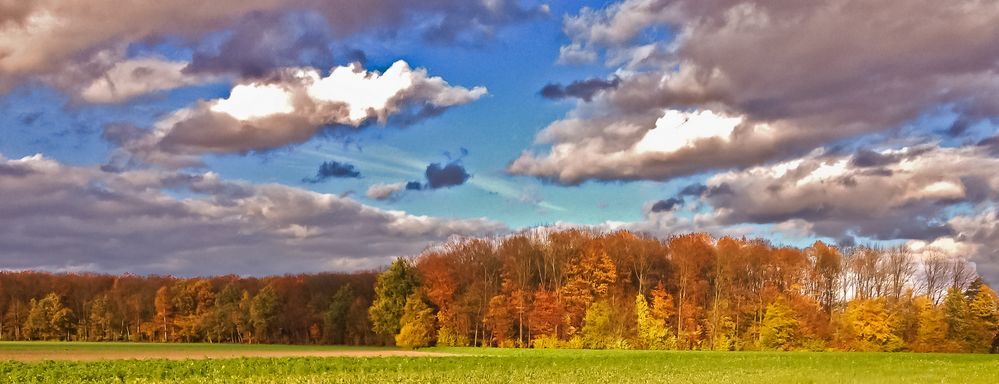 the colors of autumn