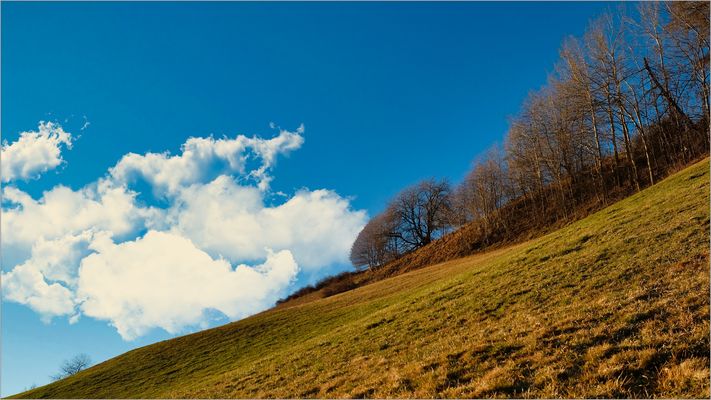 The colors of autumn