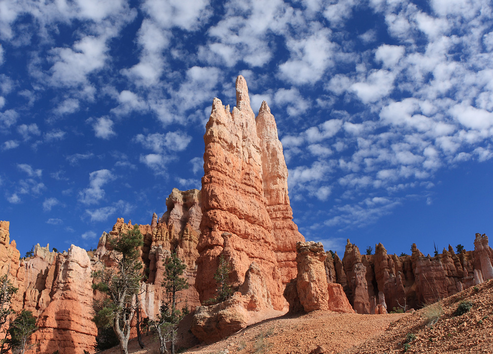 The Colors of Bryce Canyon