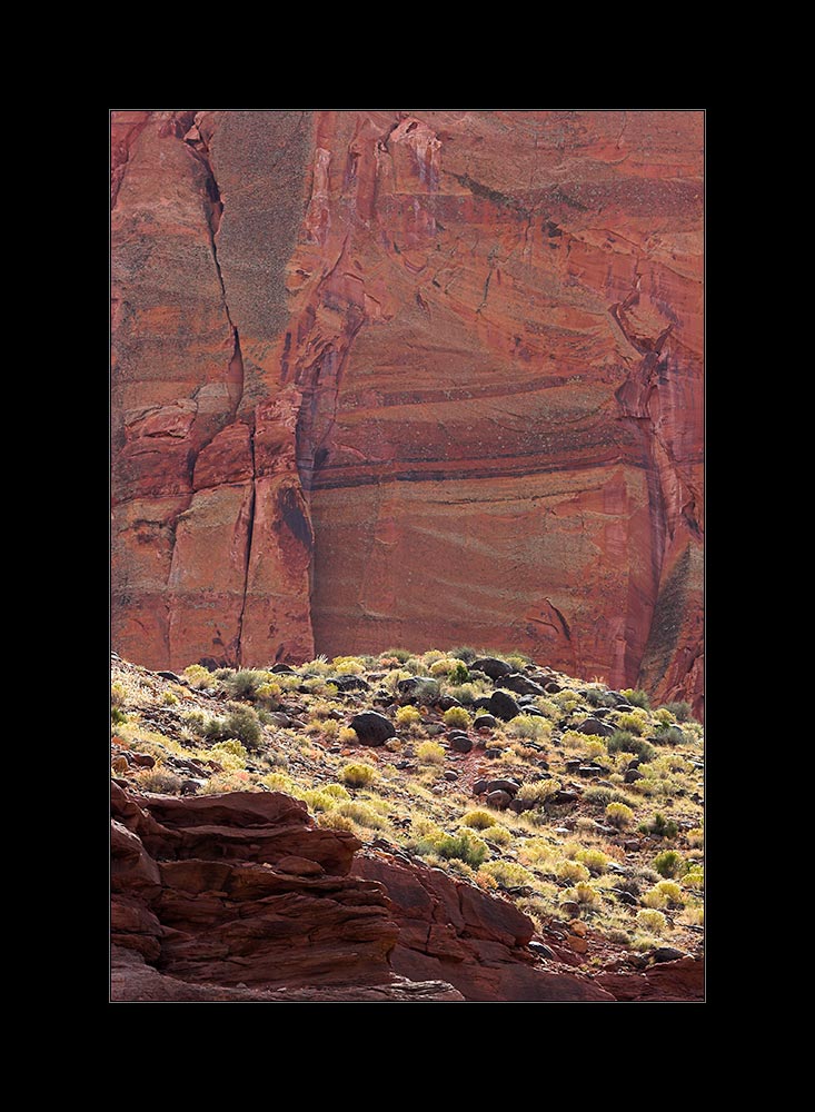 The Colors of Capitol Reef