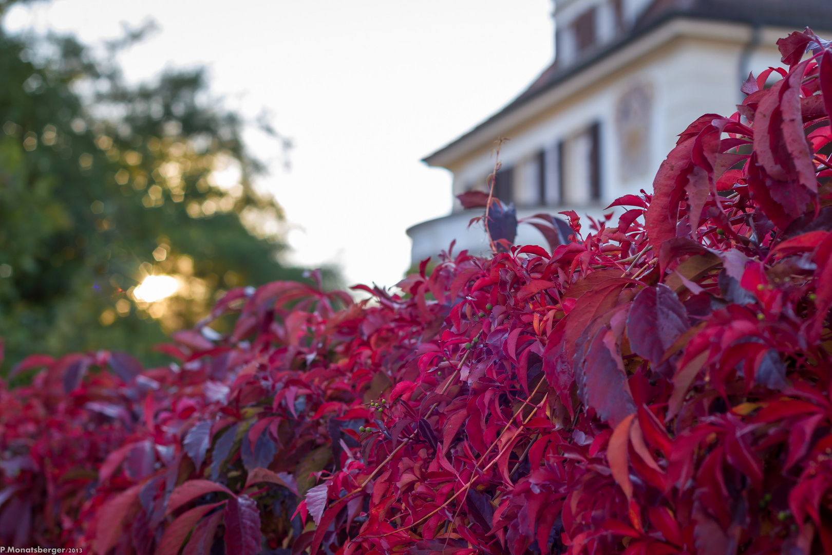 The colors of fall