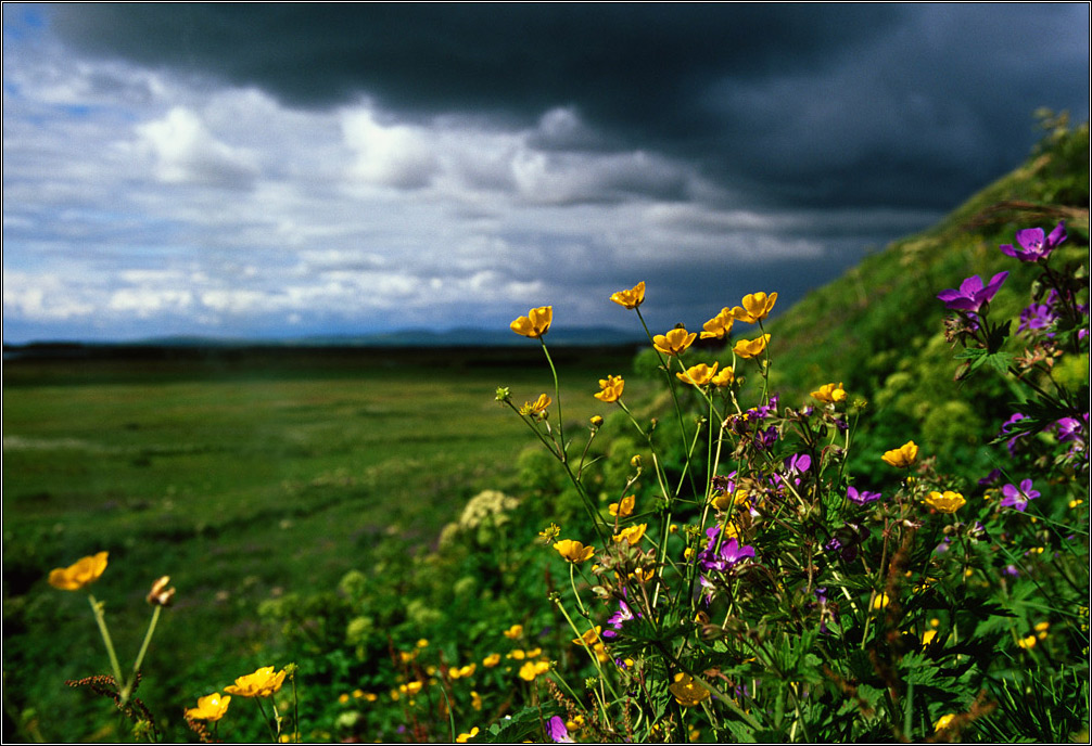 [...The Colors of Iceland]