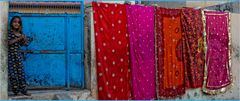 THE COLORS OF INDIA