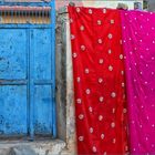 THE COLORS OF INDIA