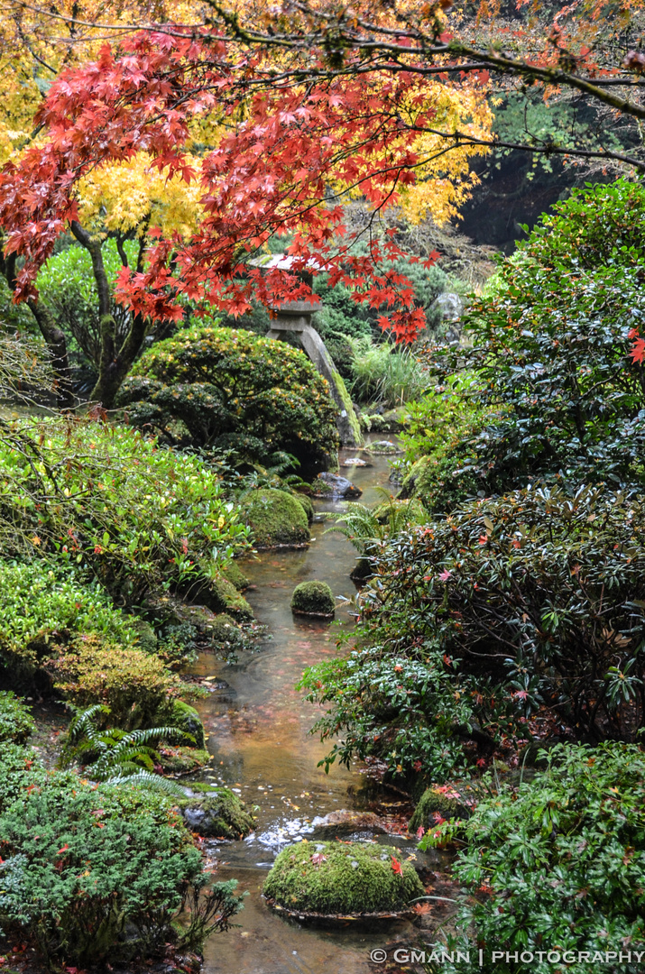 The colors of Portland