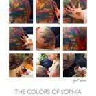 THE COLORS OF SOPHIA