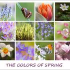 The colors of spring