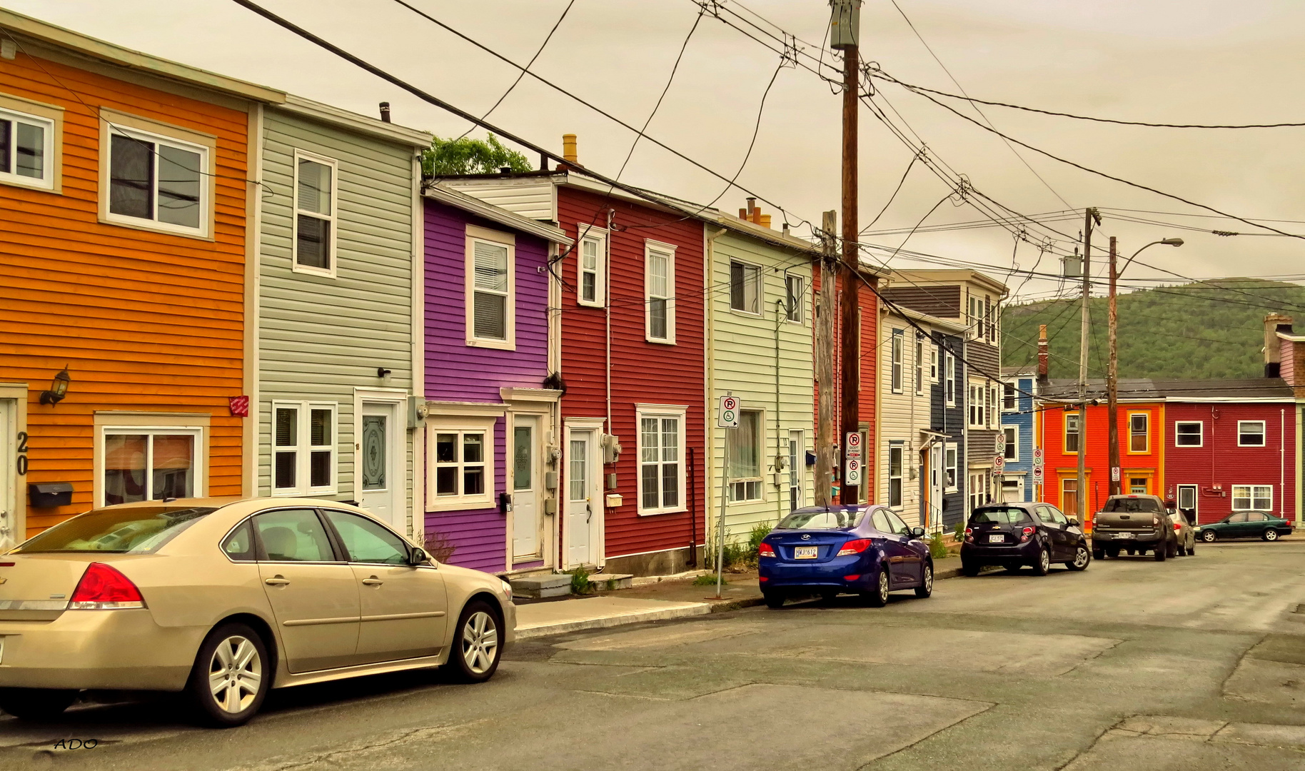 The Colourful Houses of St. John's