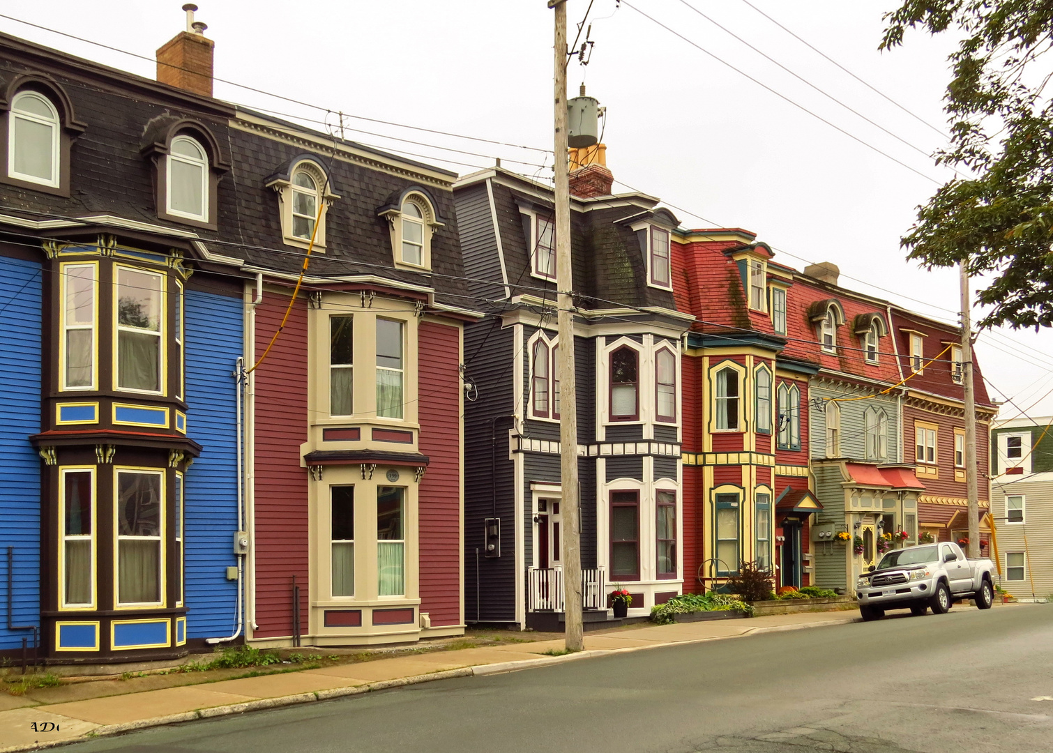 The Colourful St. John's Houses