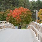 The colours of autumn behind the bridge