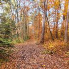 THE COLOURS OF AUTUMN