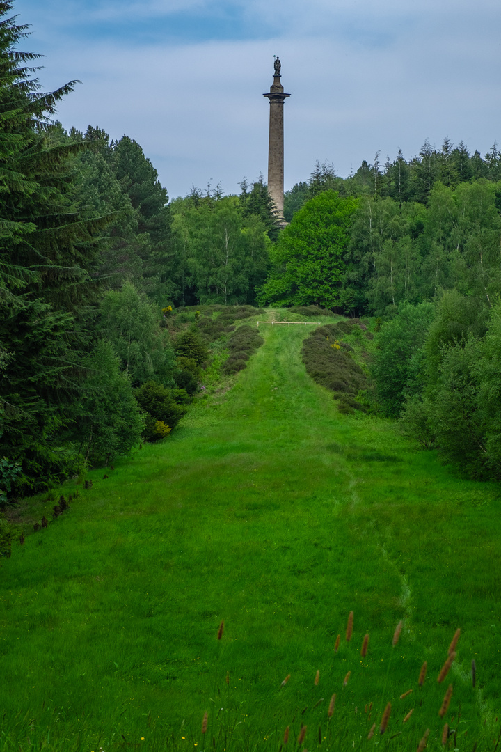 "The Column to Liberty"