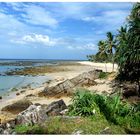 The Coral Atoll