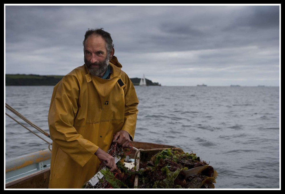 The Cornish Oyster Fisherman