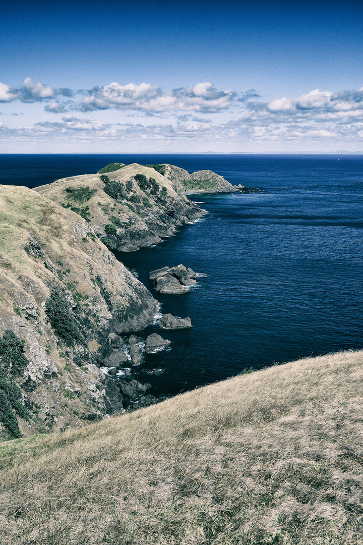 The Coromandel Peninsula