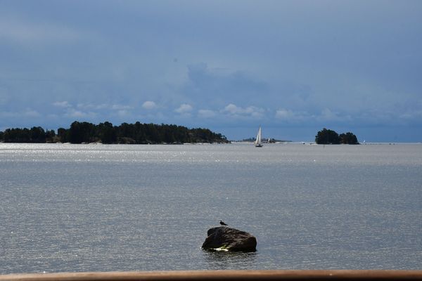 The costal area on Aurinkolahti