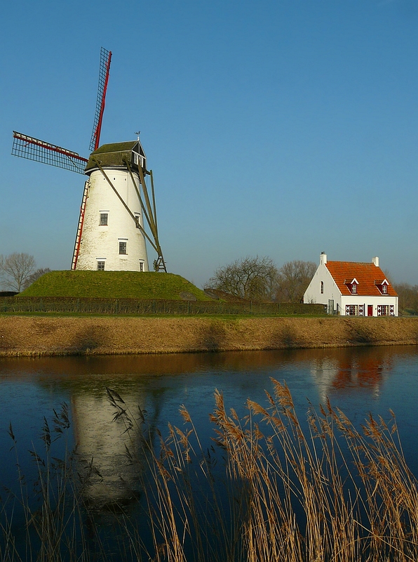 The cottage and the mill (2)