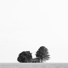 - the cottage in the field -