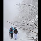 The couple are walking on the snowy way