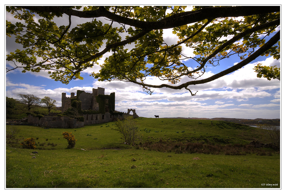 the cow and the castle...