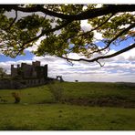 the cow and the castle...