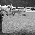 The Cowboy and the Equestrian