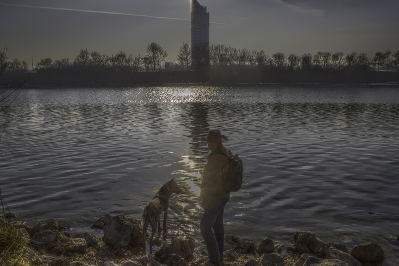 the cowboy near the city