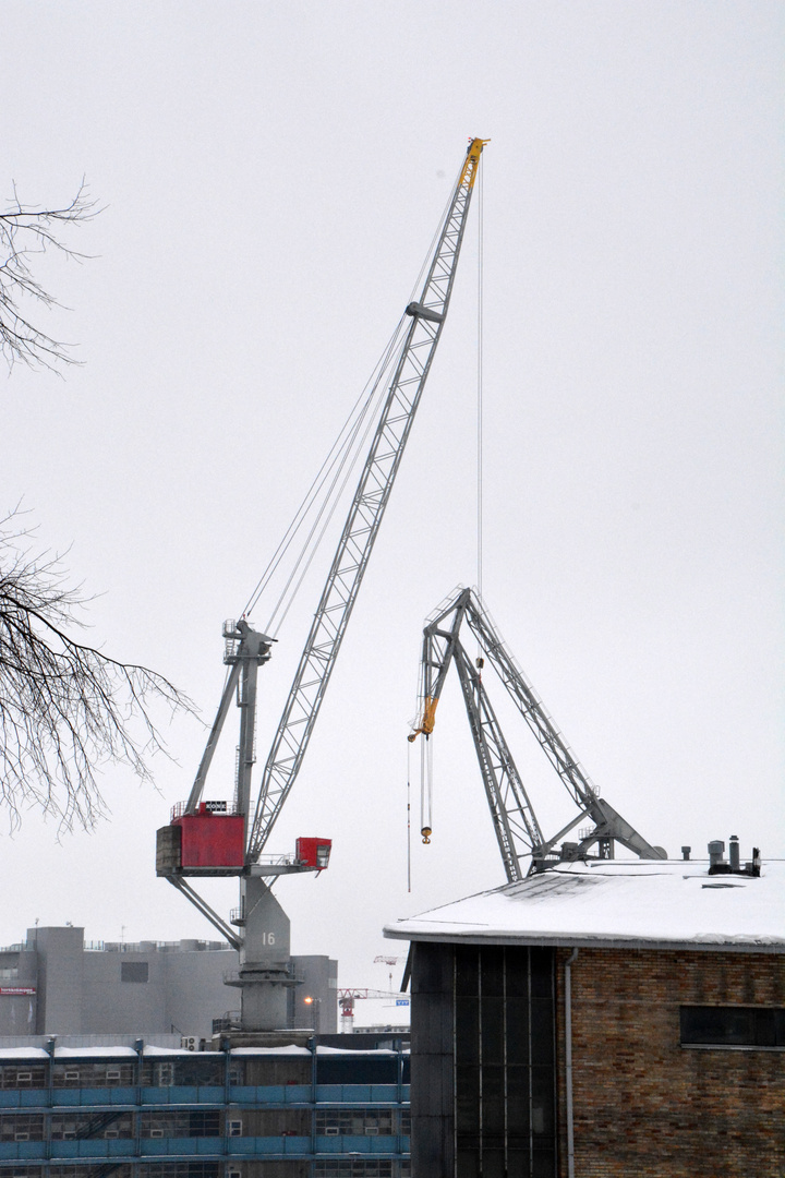 The cranes 2 on Hietalahti