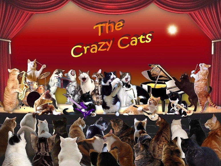 The Crazy Cats