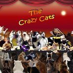 The Crazy Cats