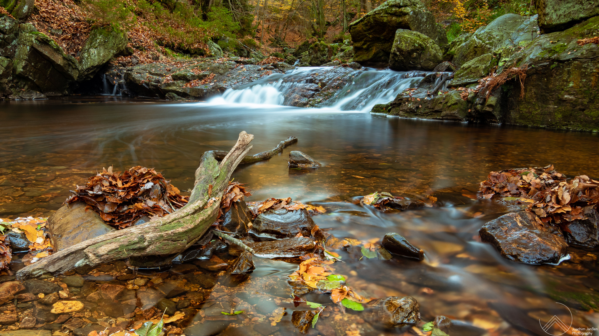 The creek