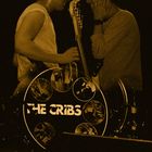 The Cribs